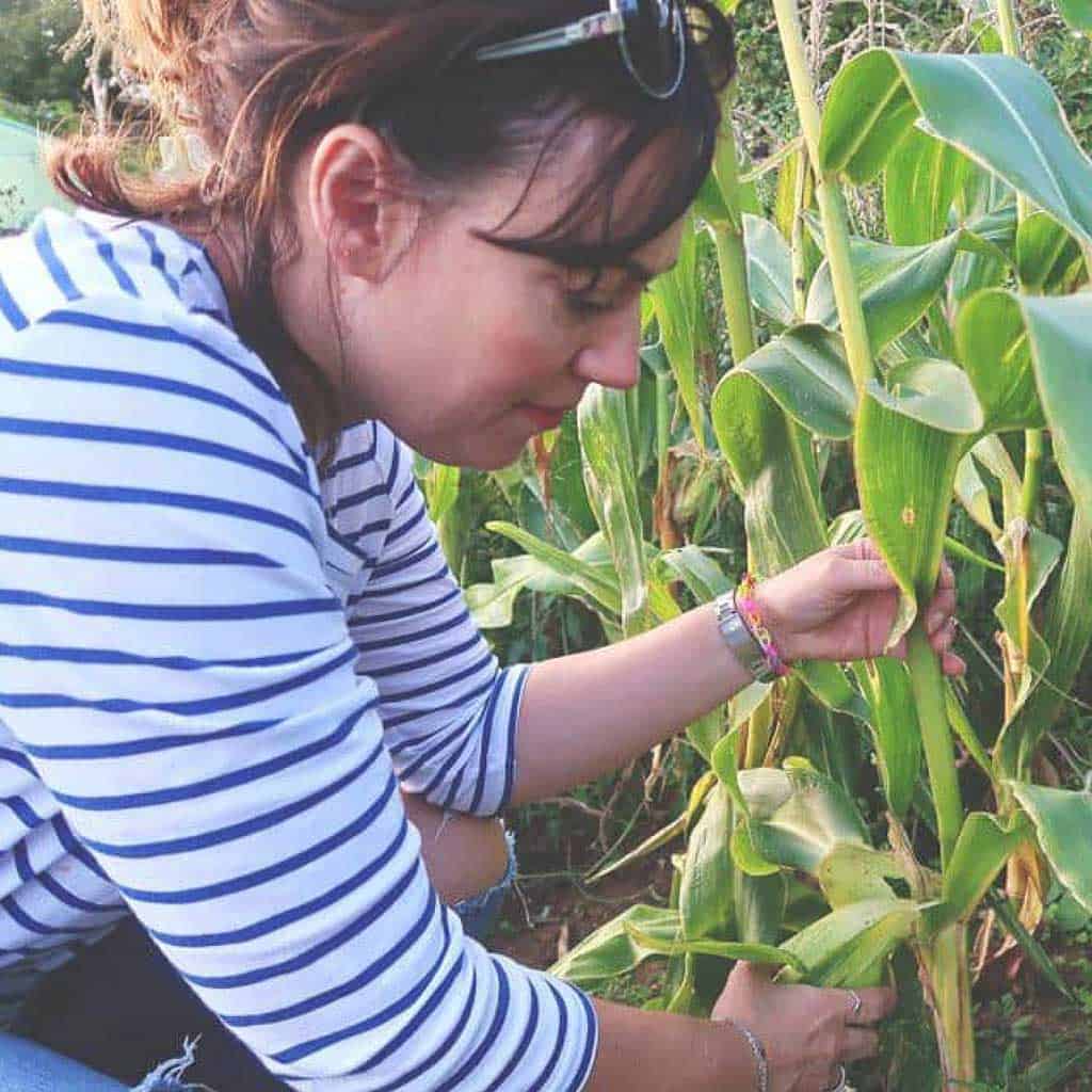 A list of 27 of the Best Gardening Books for Beginners