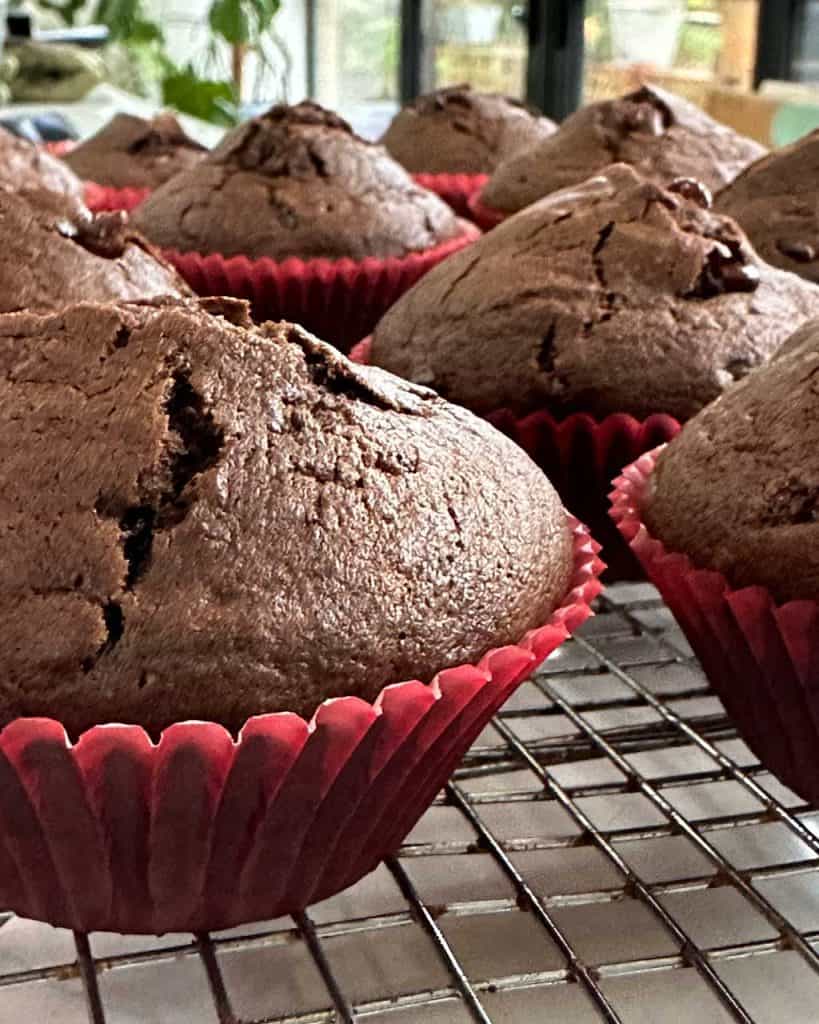 Banana and Choc Chip Muffins