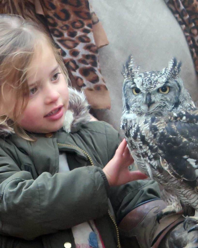 An Encounter with Owls Experience For All The Family at Center Parcs Sherwood Forest
