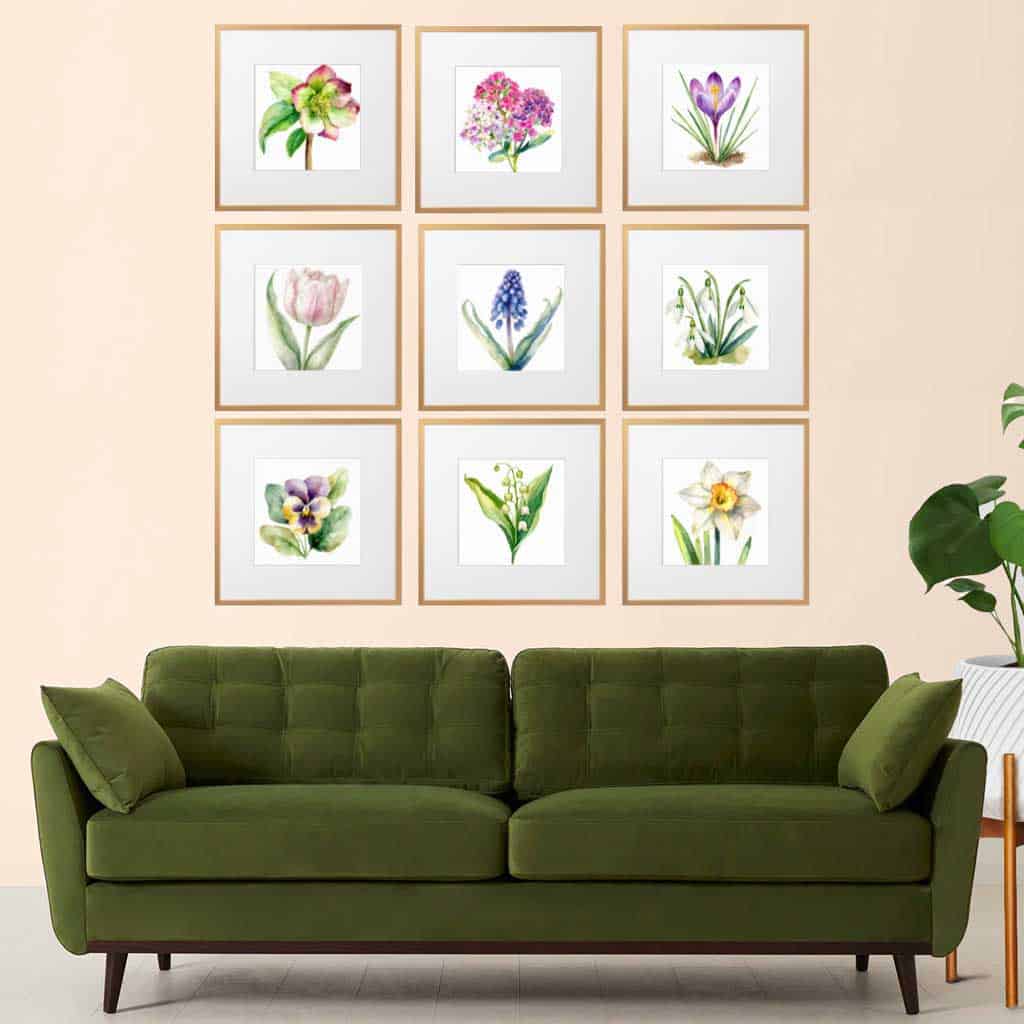 Free Botanical floral drawings — flowers of the spring season.