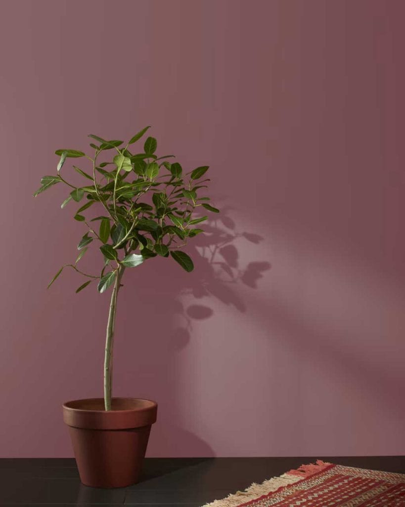 Best Burgundy Paint Colours: New London Burgundy by Benjamin Moore