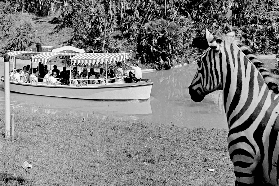 The Jungle Cruise at Disneyland