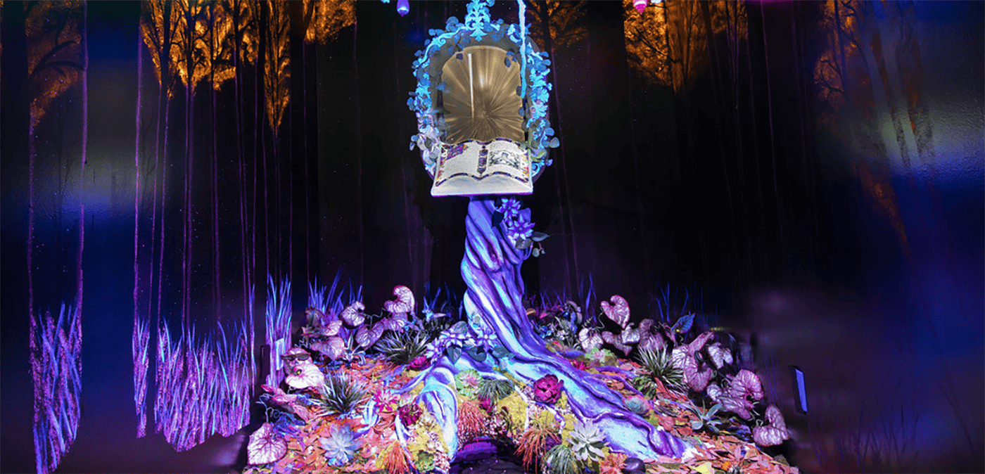 Themed Experiences Program