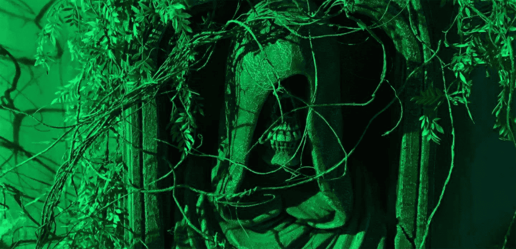 The Haunted Rose