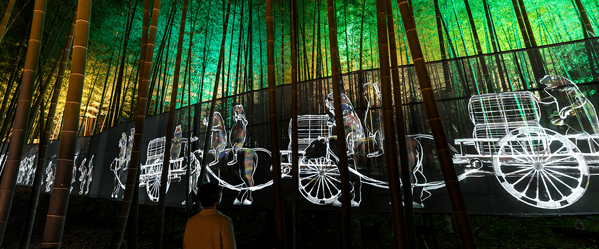 Walk, Walk, Walk - Moso Bamboo Forest