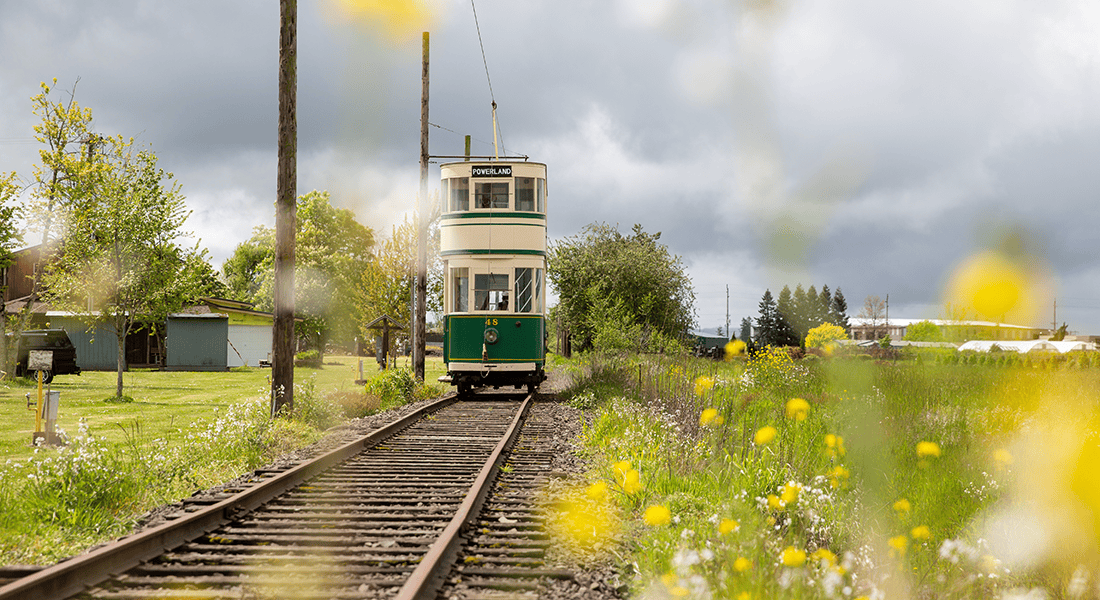 Guests get to ride a trolley.