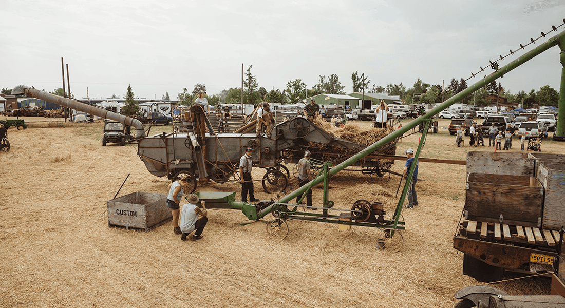 Threshing Display