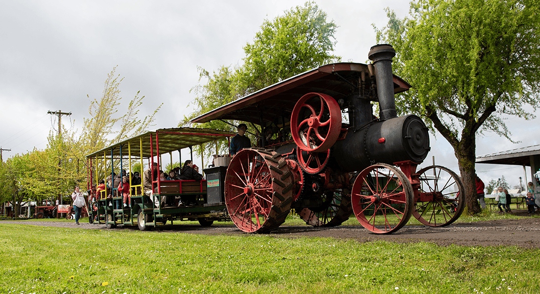 Steam Engine pulling people around Powerland Heritage Park