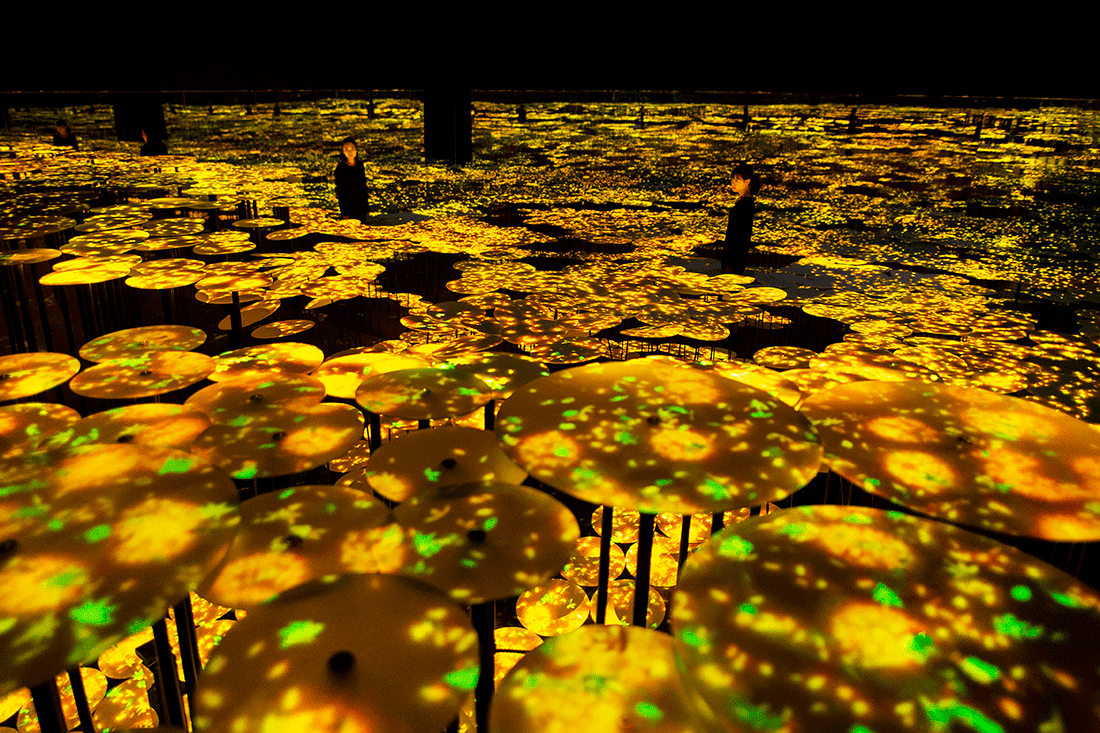 Memory of Topography Autumn Sweet Olive. More than 50 Borderless art selections will be part of teamLab Borderless Jeddah.