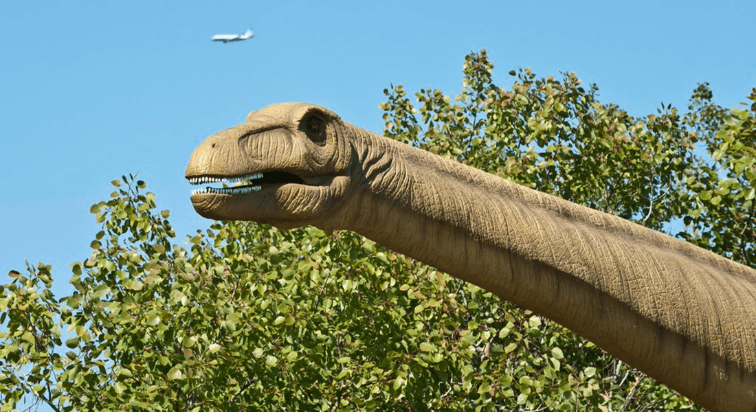 An Apatosaurus looks up as a plane flies overhead (photo by Michael Golz, courtesy of Field Station: Dinosaurs)