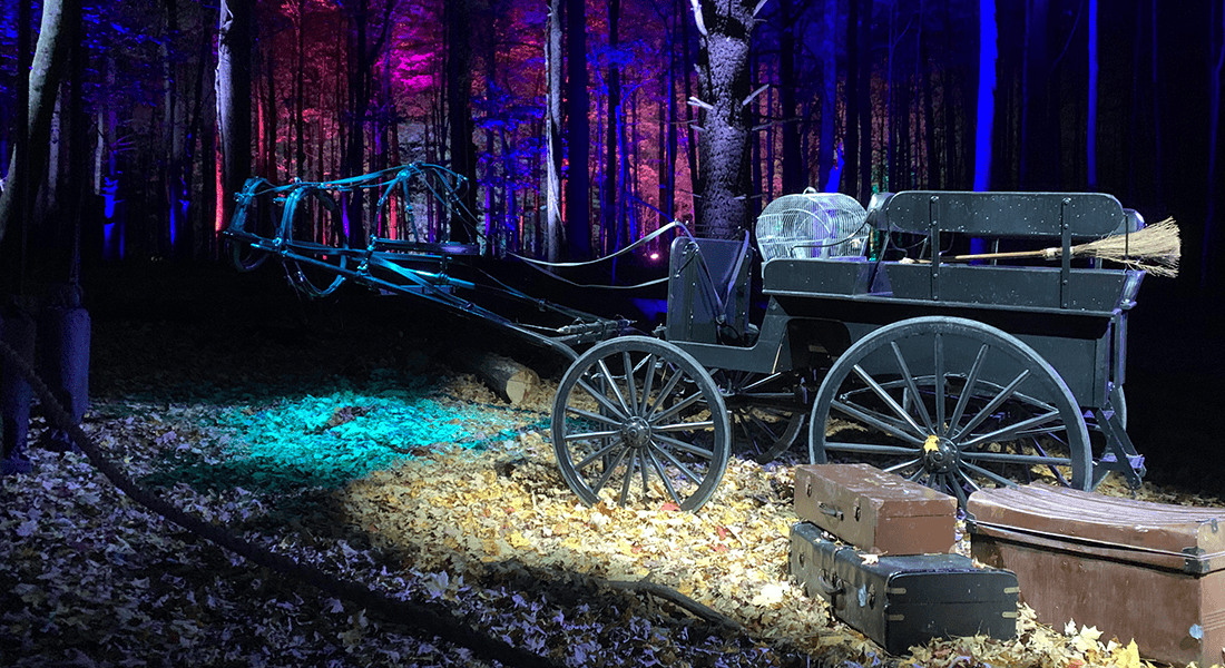 Harry Potter: A Forbidden Forest Experience takes you on a magical walking adventure through a colorful forest full of Harry Potter and Fantastical Beasts magic (photo courtesy of Chris Armenia)