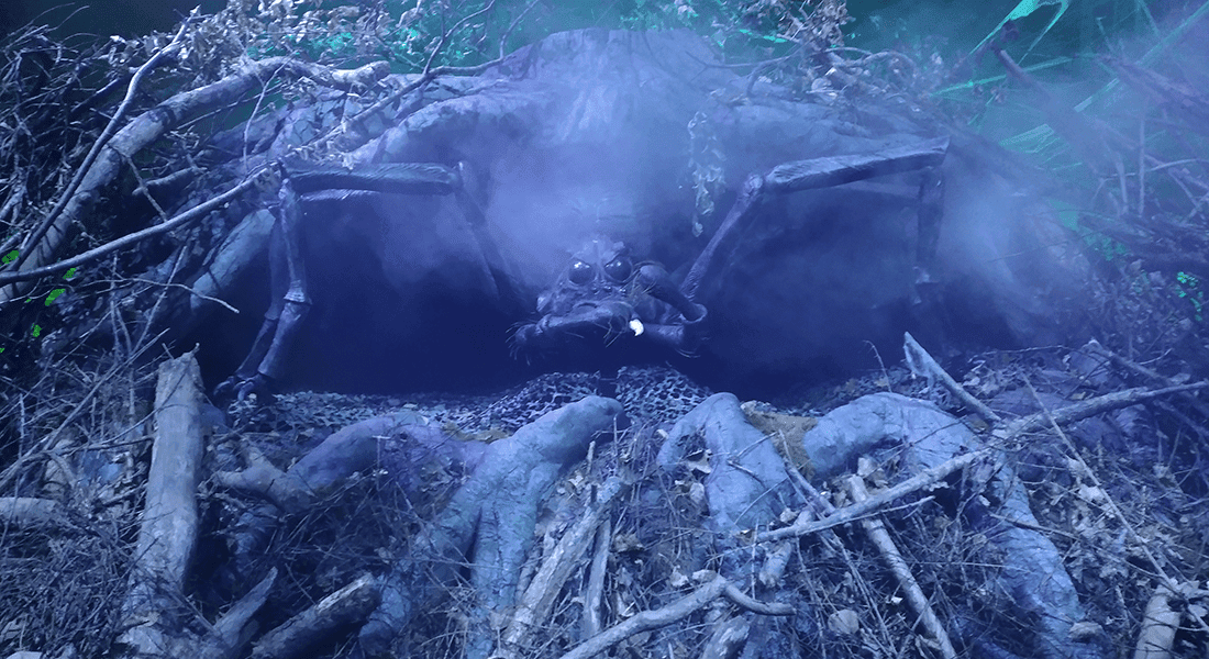 You're not afraid of a massive moving spider, are you? Luckily, there's a bypass trail! (photo by Spencer Bollettieri)