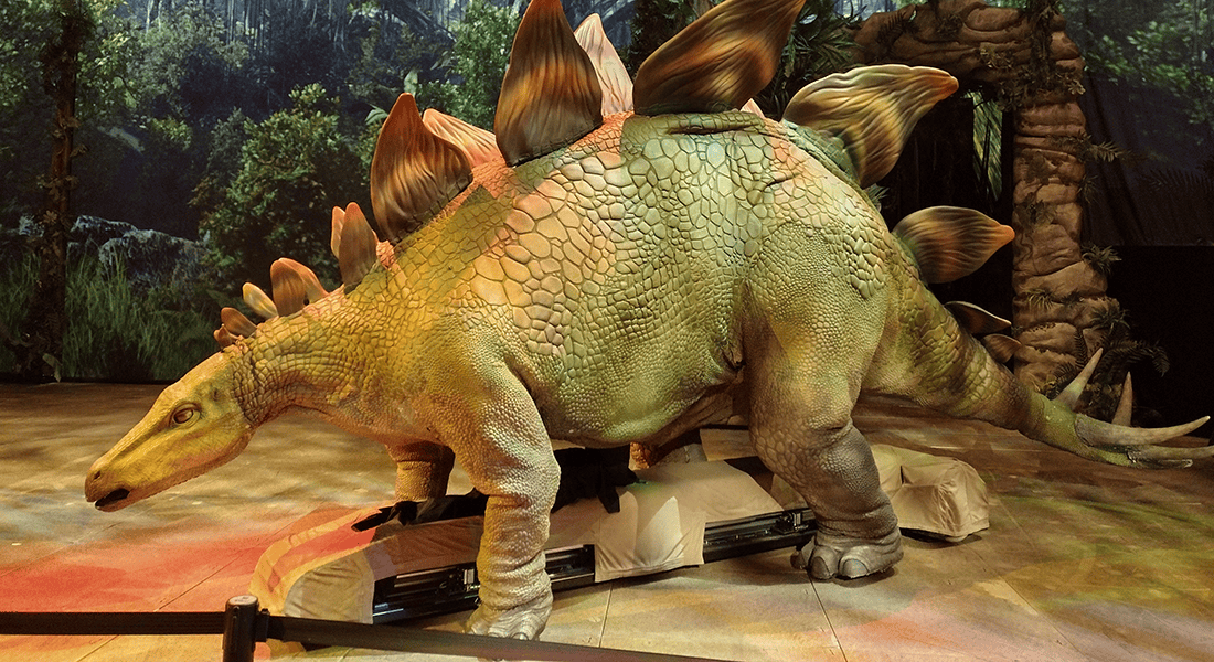 In addition to a show, guests can get up close with some other dinosaurs (used in the show) from the Jurassic era.