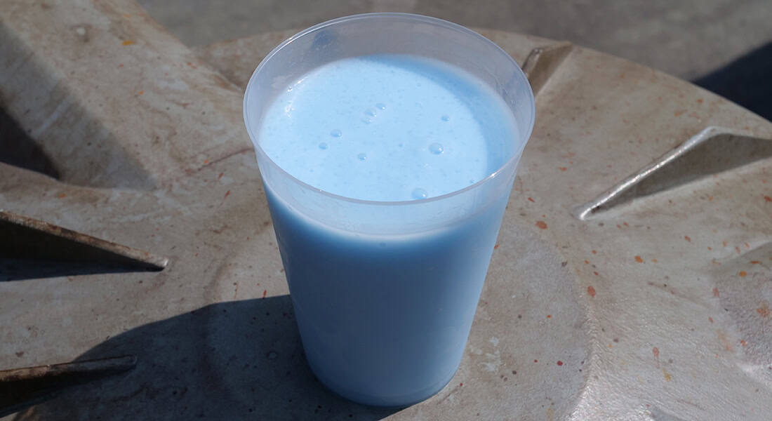 Ready to try some blue milk? (photo by Joe Tracy, © Theme Park Magazine)