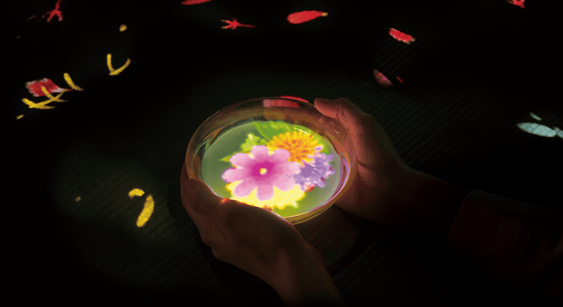 Pouring tea triggers digital flowers to bloom inside and around the teacup. (photo by teamLab, Flowers Bloom in an Infinite Universe inside a Teacup ©teamLab)