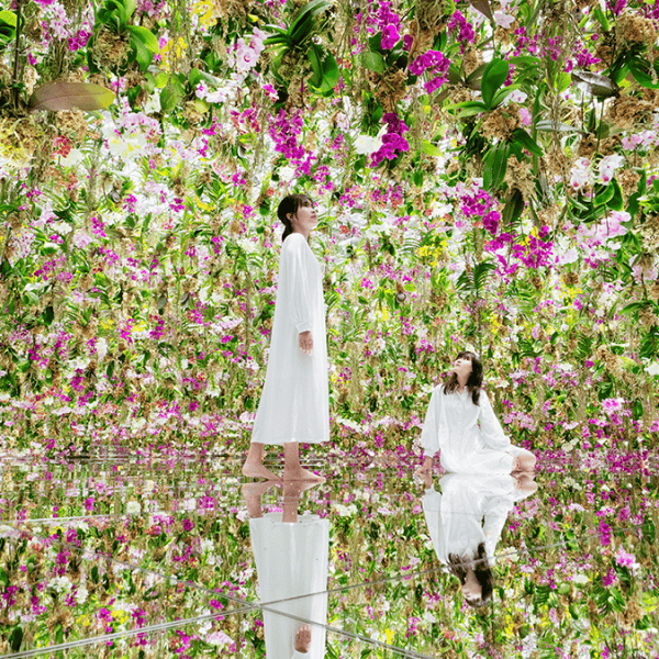 teamLab SuperNature Macao