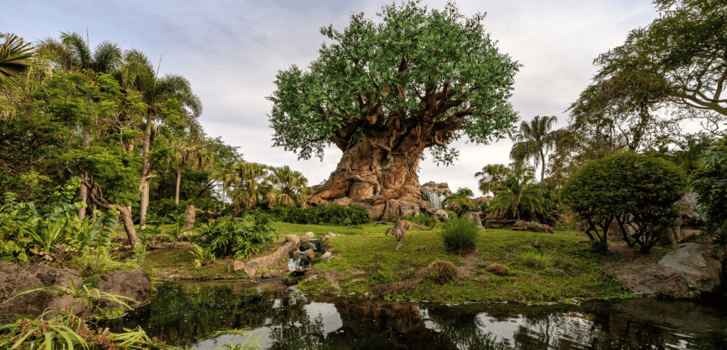 Wild and Free Experiences at Disney’s Animal Kingdom Theme Park