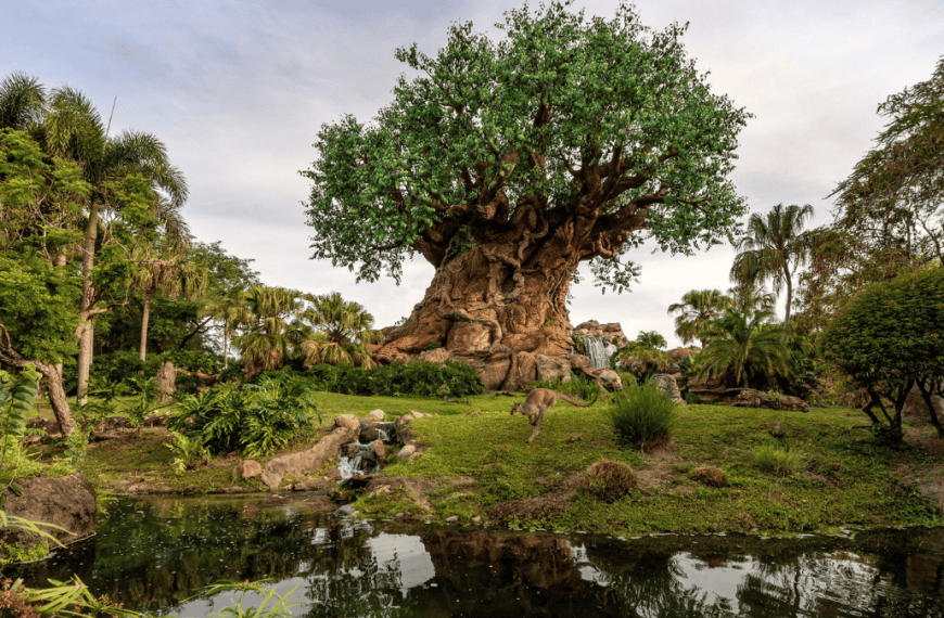 Wild and Free Experiences at Disney’s Animal Kingdom Theme Park