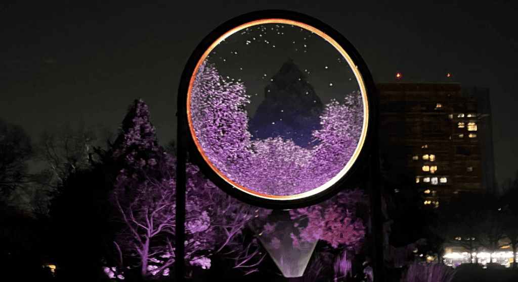 Astra Lumina New York City