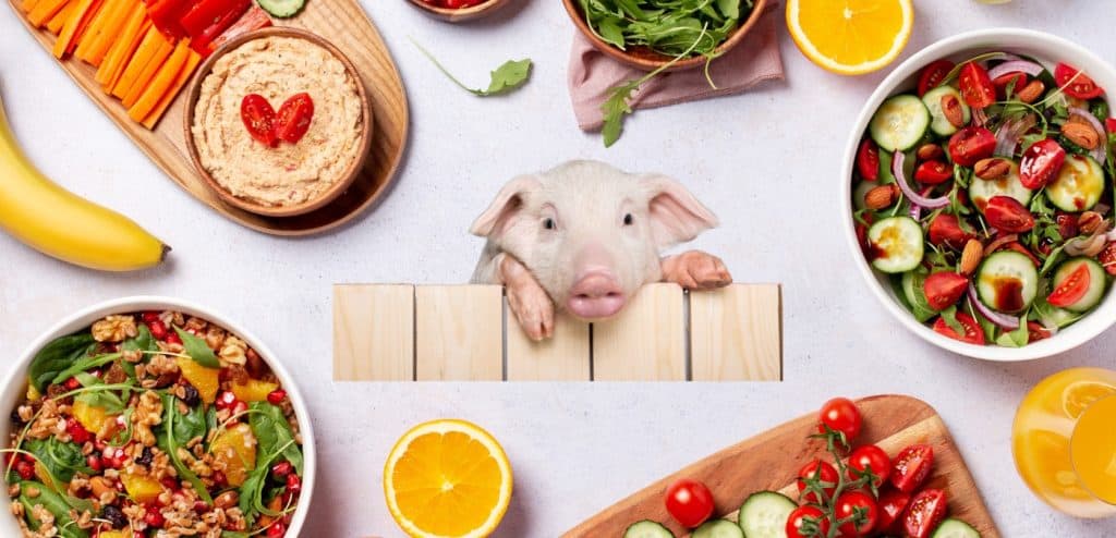 PETA Wants Vegan Only at Peppa Pig Theme Park