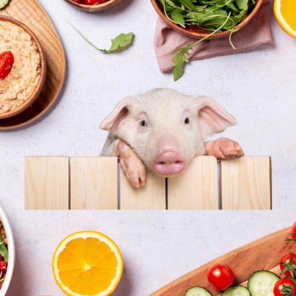 PETA Wants Vegan Only at Peppa Pig Theme Park