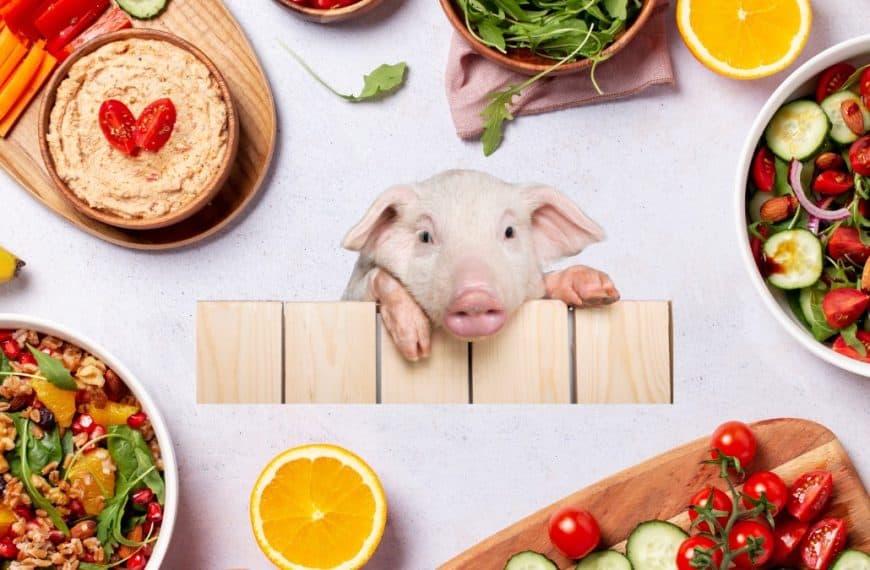PETA Wants Vegan Only at Peppa Pig Theme Park