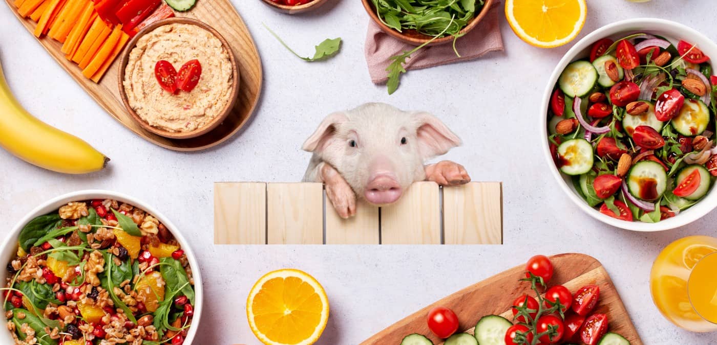 PETA Wants Vegan Only at Peppa Pig Theme Park