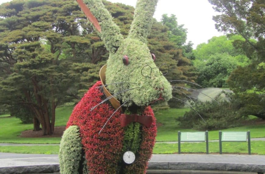 Wonderland Curious Nature - rabbit
