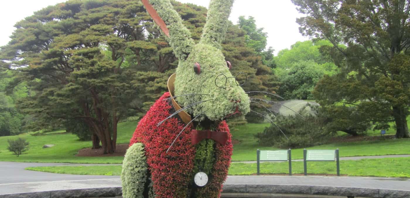 Wonderland Curious Nature - rabbit