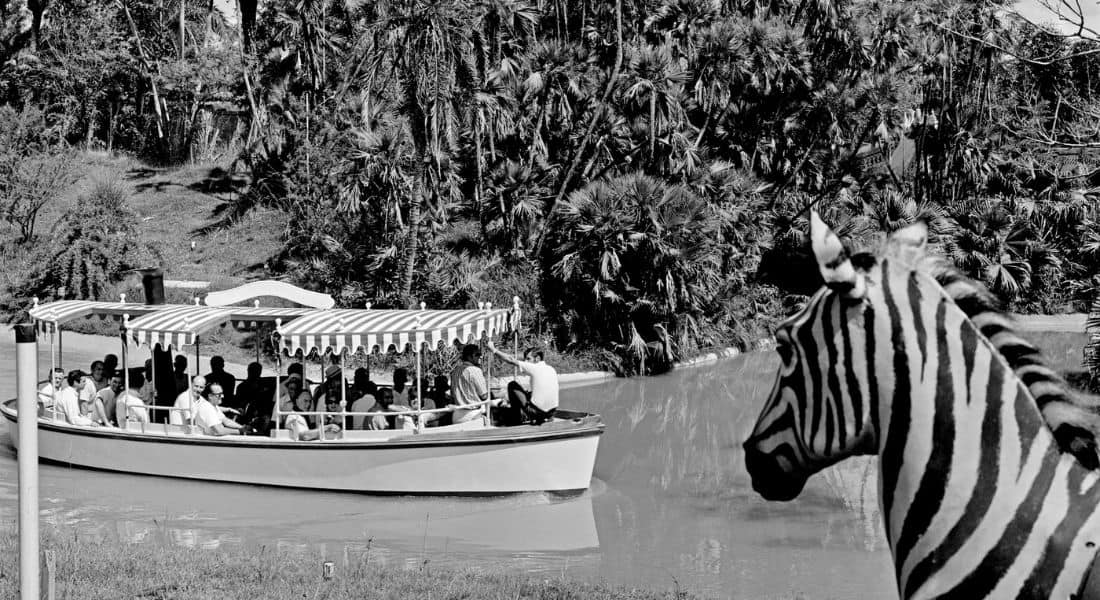 Disneyland Jungle Cruise in 1955 (Photo courtesy of ©Walt Disney Company)