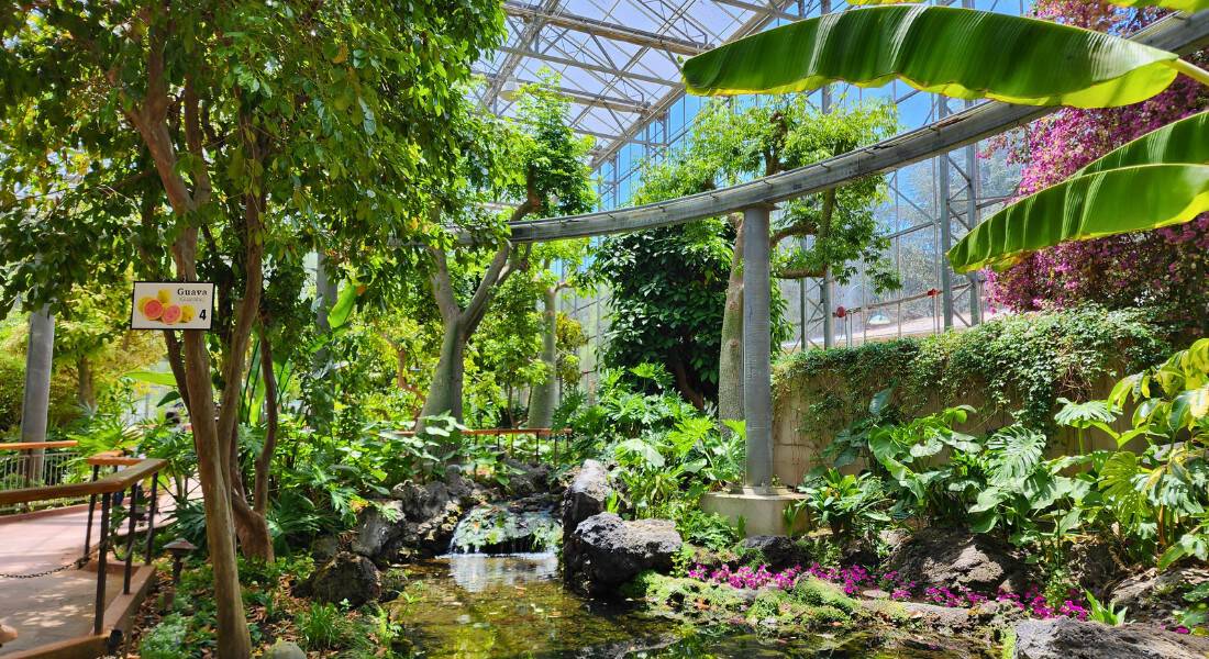 Partial view from inside the Monarch Garden. (Photo by Joe Tracy for ©Theme Park Magazine)