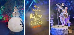 Tim Burton's Nightmare Before Christmas Light Trail