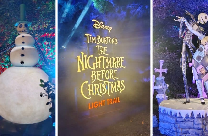 Tim Burton's Nightmare Before Christmas Light Trail