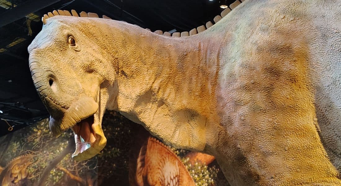 This is the Hadrosaurus foulkii, a duck-billed herbivore. Photo by Spencer Bollettieri for ©Theme Park Magazine.