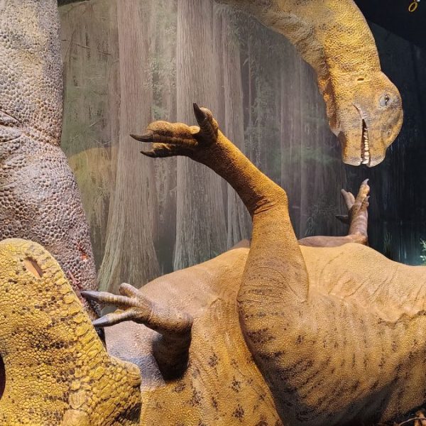 dinosaurs at Edelman Fossil Park