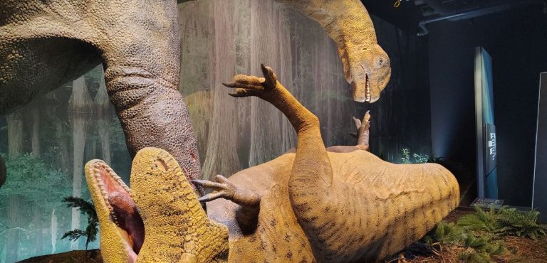 dinosaurs at Edelman Fossil Park