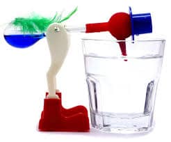 bird drinks