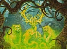 Rarest/magic the gathering