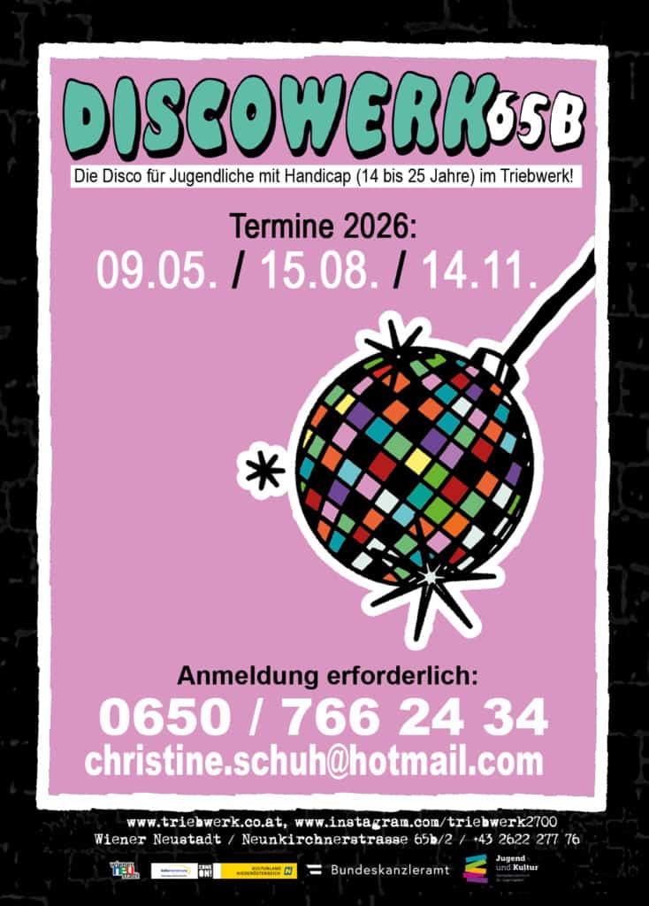 Discowerk 65b