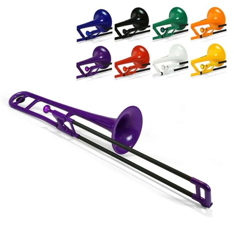 2021 PINSTRUMENTS PBONE1P