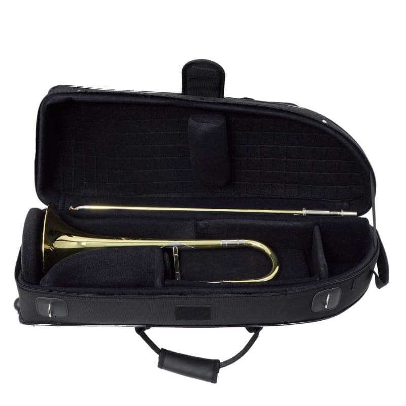 S.E. Shires Q35 Lacquer