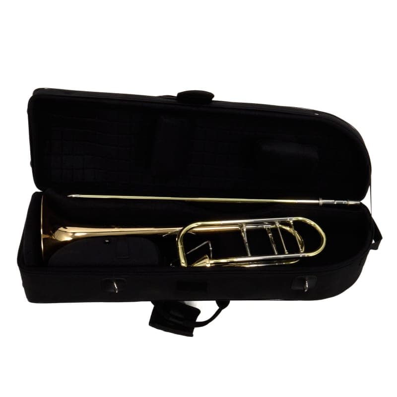S.E. Shires STBQ30GA Lacquer