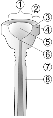 trumpet mouthpiece cut away numbered