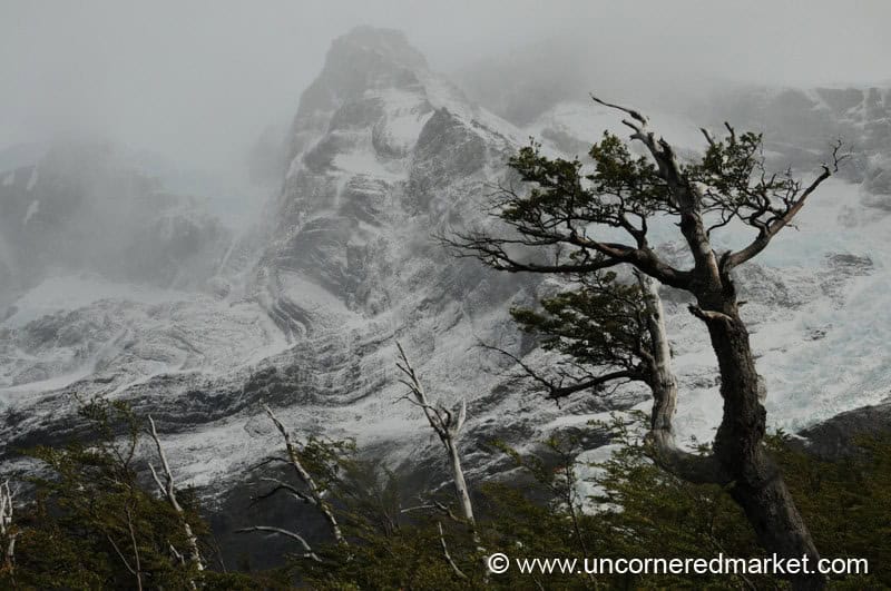Nature's Harshness - Torres del Paine