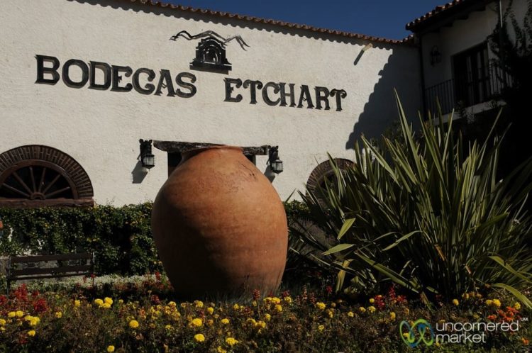 Wine Tasting at Bodegas Etchart in Cafayate, Argentina