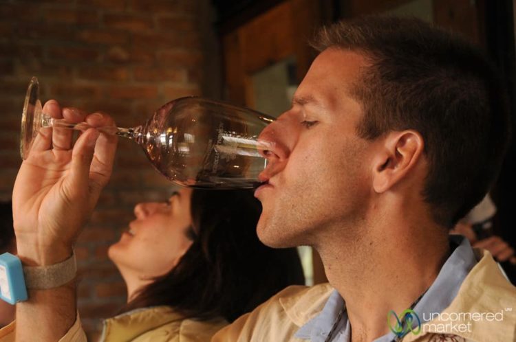 Good to the Last Drop - Mendoza, Argentina