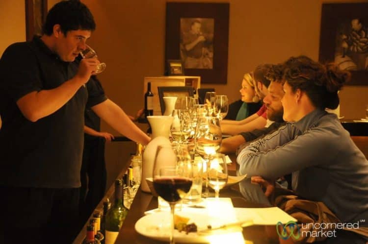 Wine Tasting at the Vines of Mendoza - Argentina
