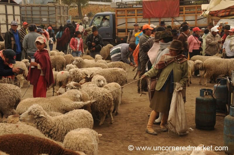 Saquisili weekly market along the Quilatoa Loop in Ecuador