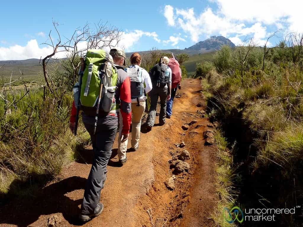 Trekking Kilmanjaro, Day 2 - Mt. Kilimanjaro, Tanzania