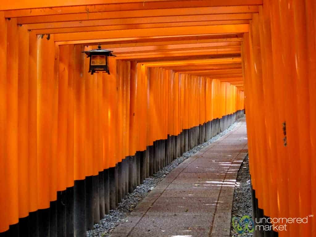 Torii at Kyoto fushimi inari shrine